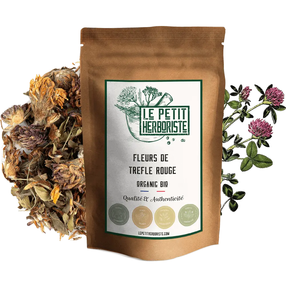 Tisane de trèfle rouge