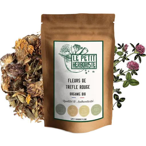 Tisane de trèfle rouge